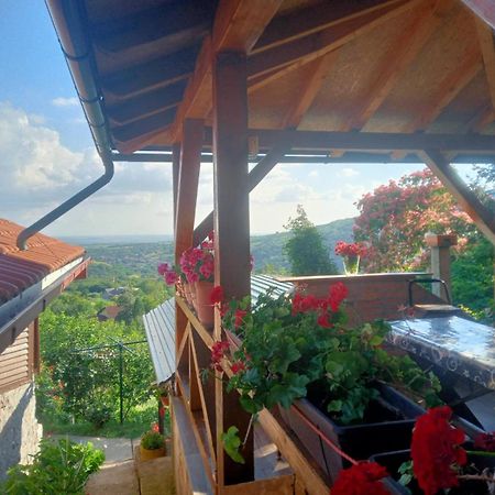 Apartment Noletov Vidikovac Vrdnik Buitenkant foto