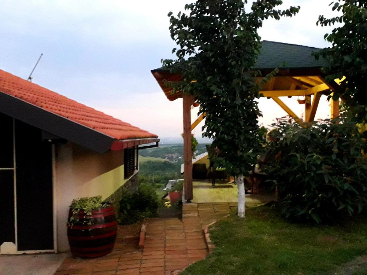 Apartment Noletov Vidikovac Vrdnik Buitenkant foto