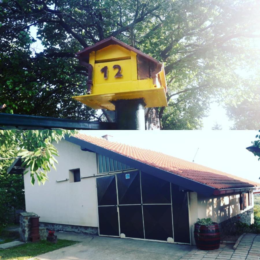 Apartment Noletov Vidikovac Vrdnik Buitenkant foto