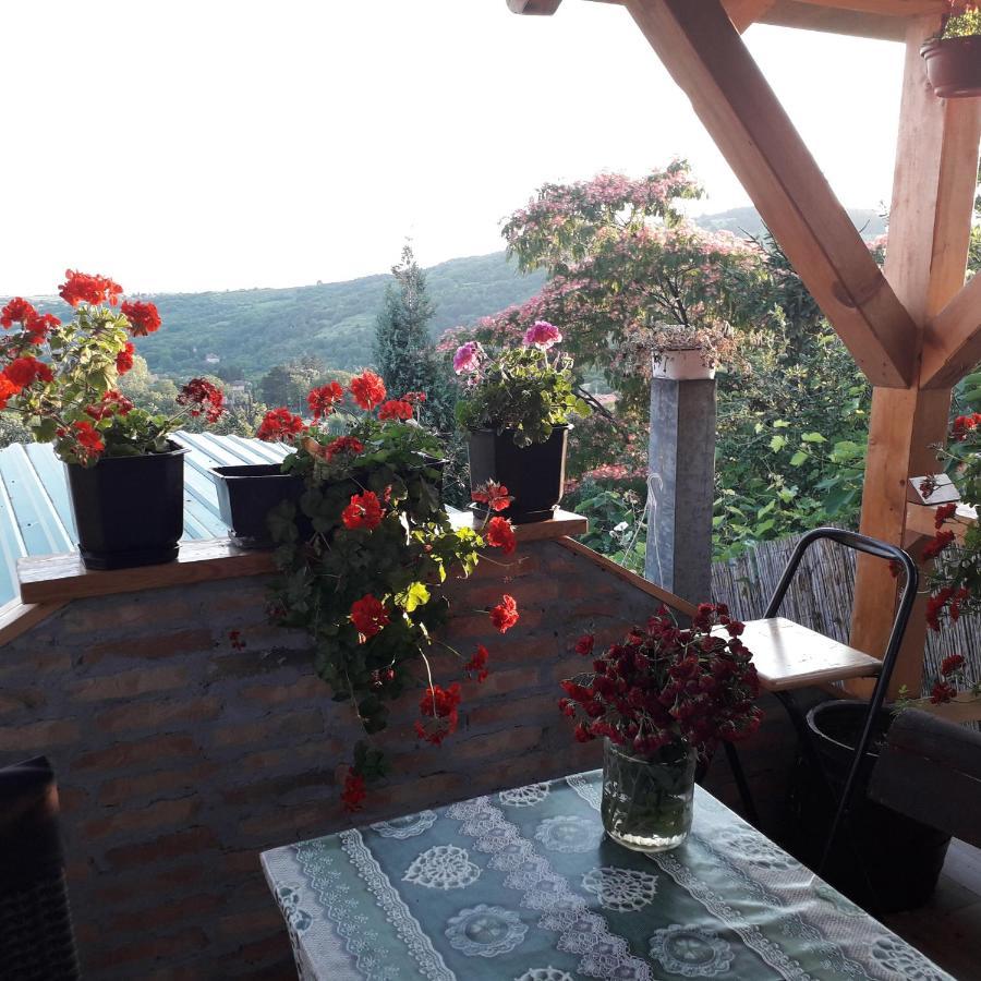 Apartment Noletov Vidikovac Vrdnik Buitenkant foto