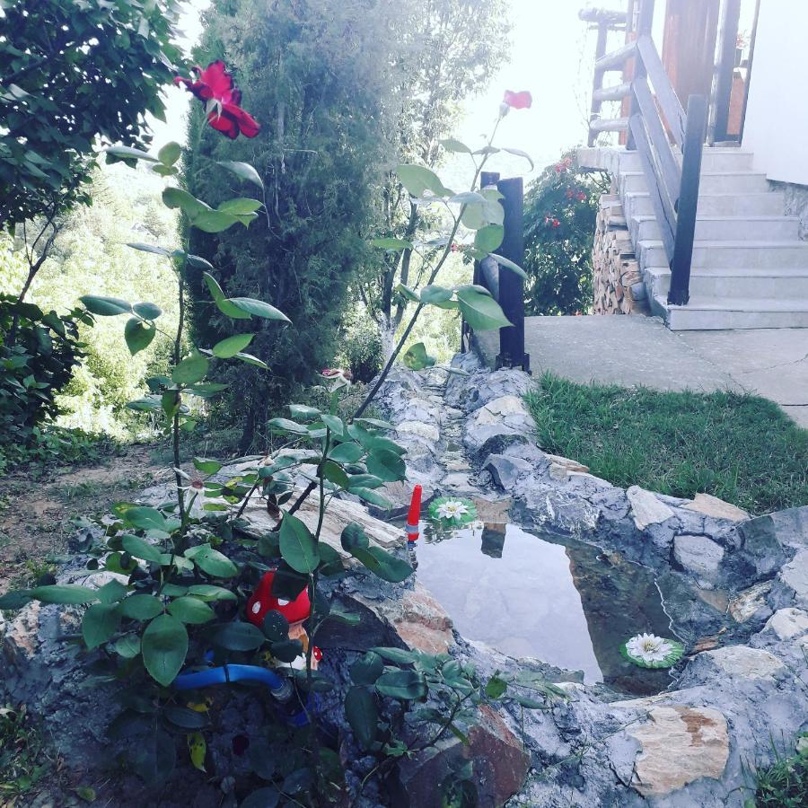 Apartment Noletov Vidikovac Vrdnik Buitenkant foto