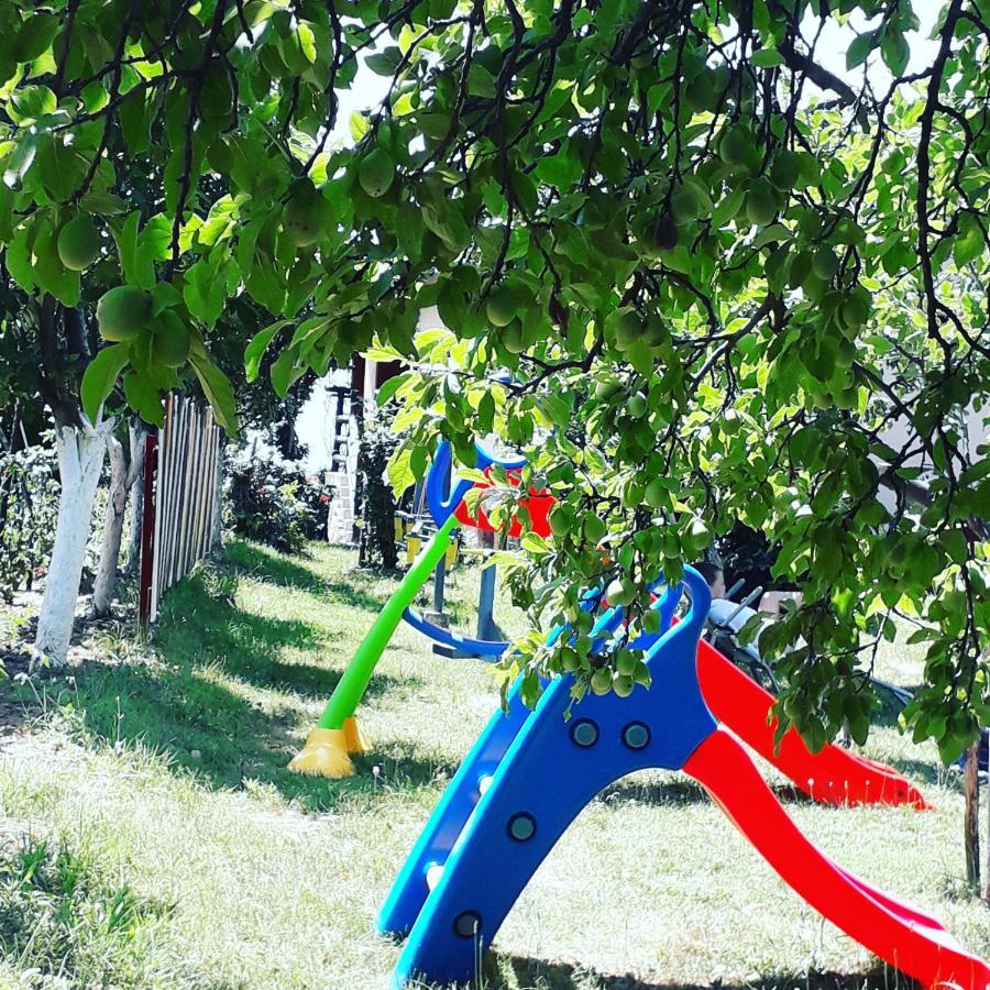 Apartment Noletov Vidikovac Vrdnik Buitenkant foto