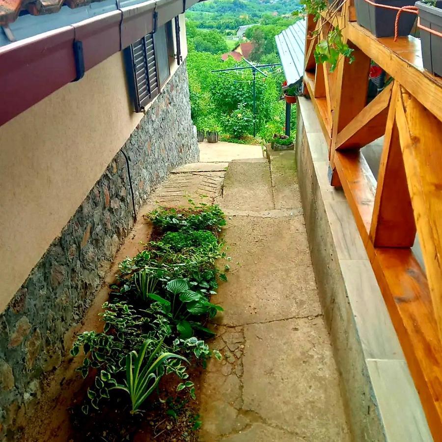 Apartment Noletov Vidikovac Vrdnik Buitenkant foto