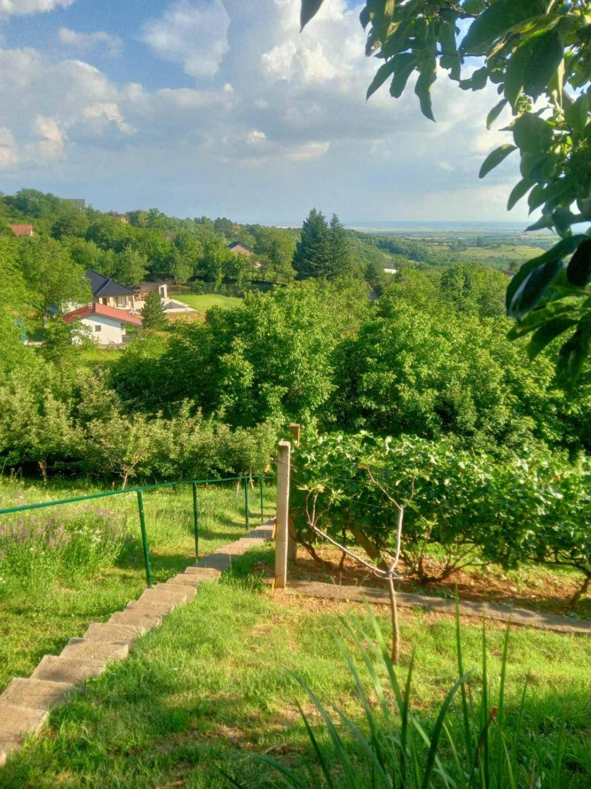 Apartment Noletov Vidikovac Vrdnik Buitenkant foto