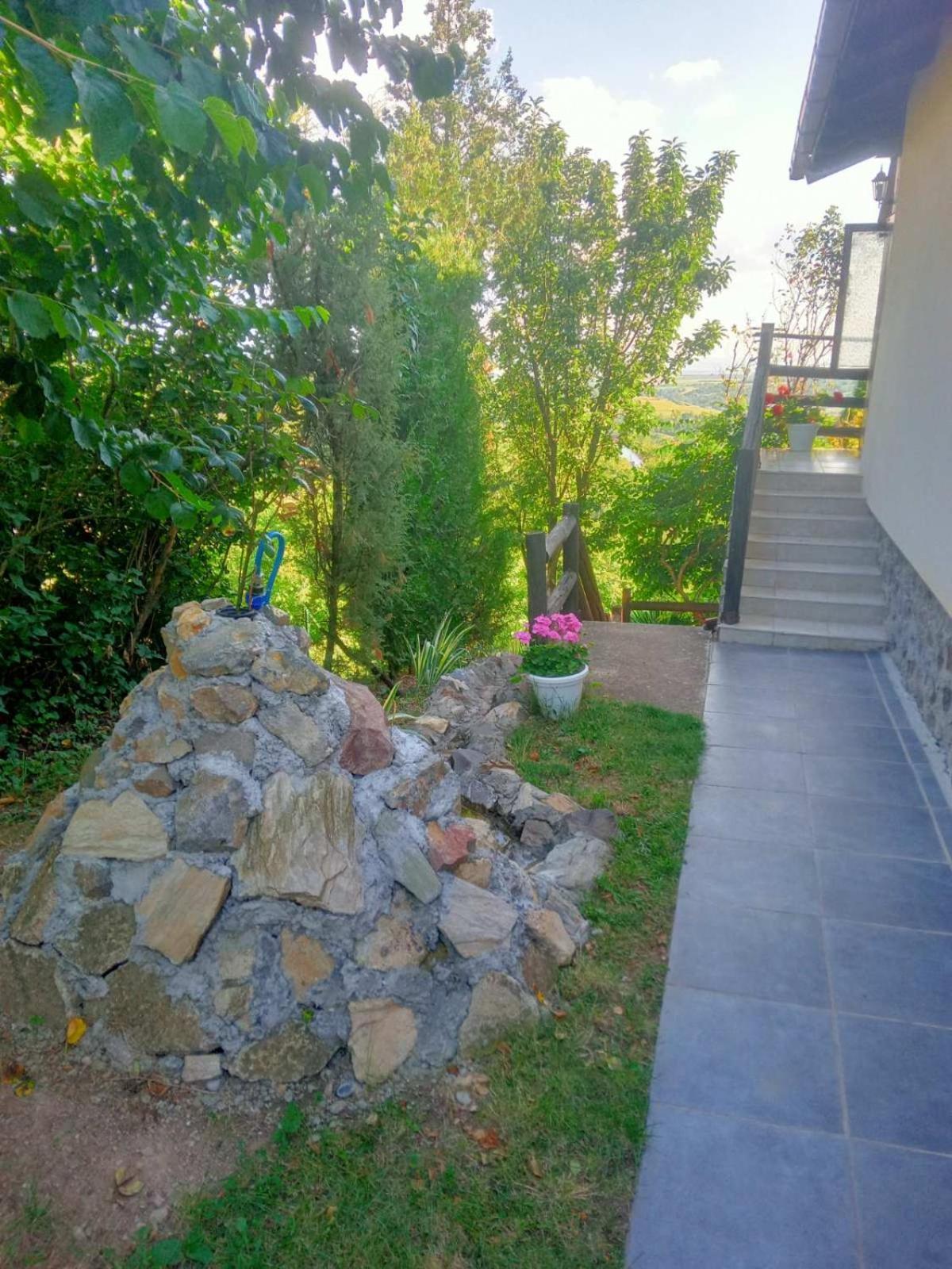 Apartment Noletov Vidikovac Vrdnik Buitenkant foto