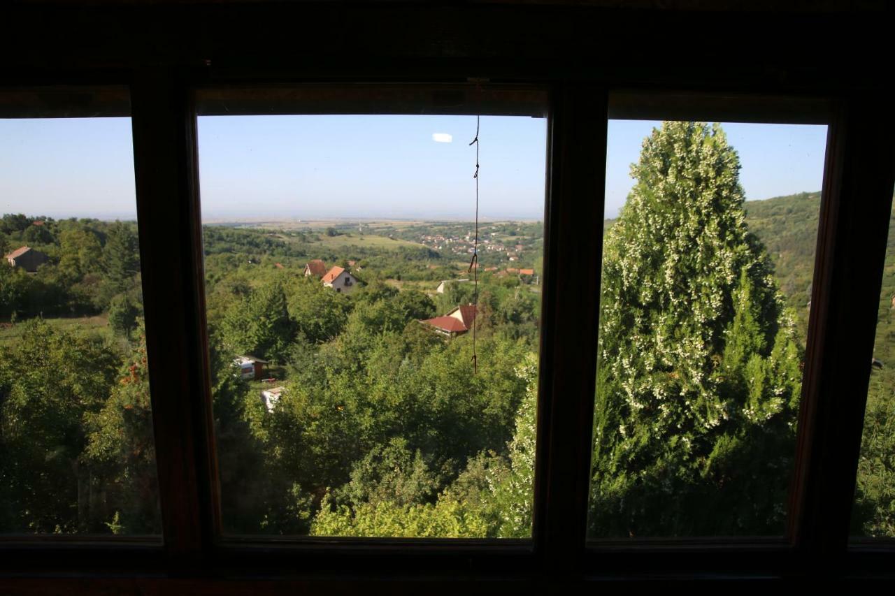 Apartment Noletov Vidikovac Vrdnik Buitenkant foto