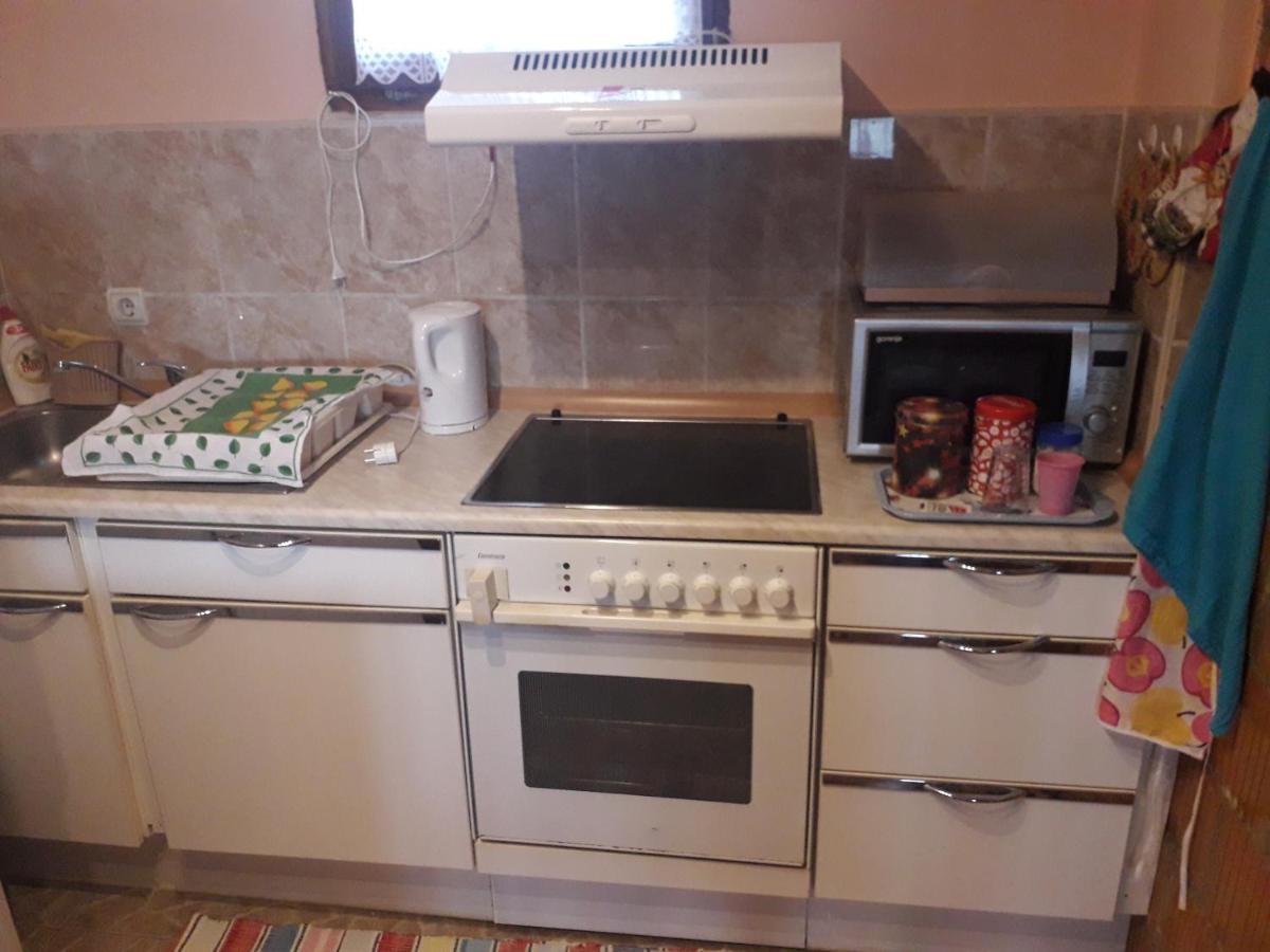Apartment Noletov Vidikovac Vrdnik Buitenkant foto