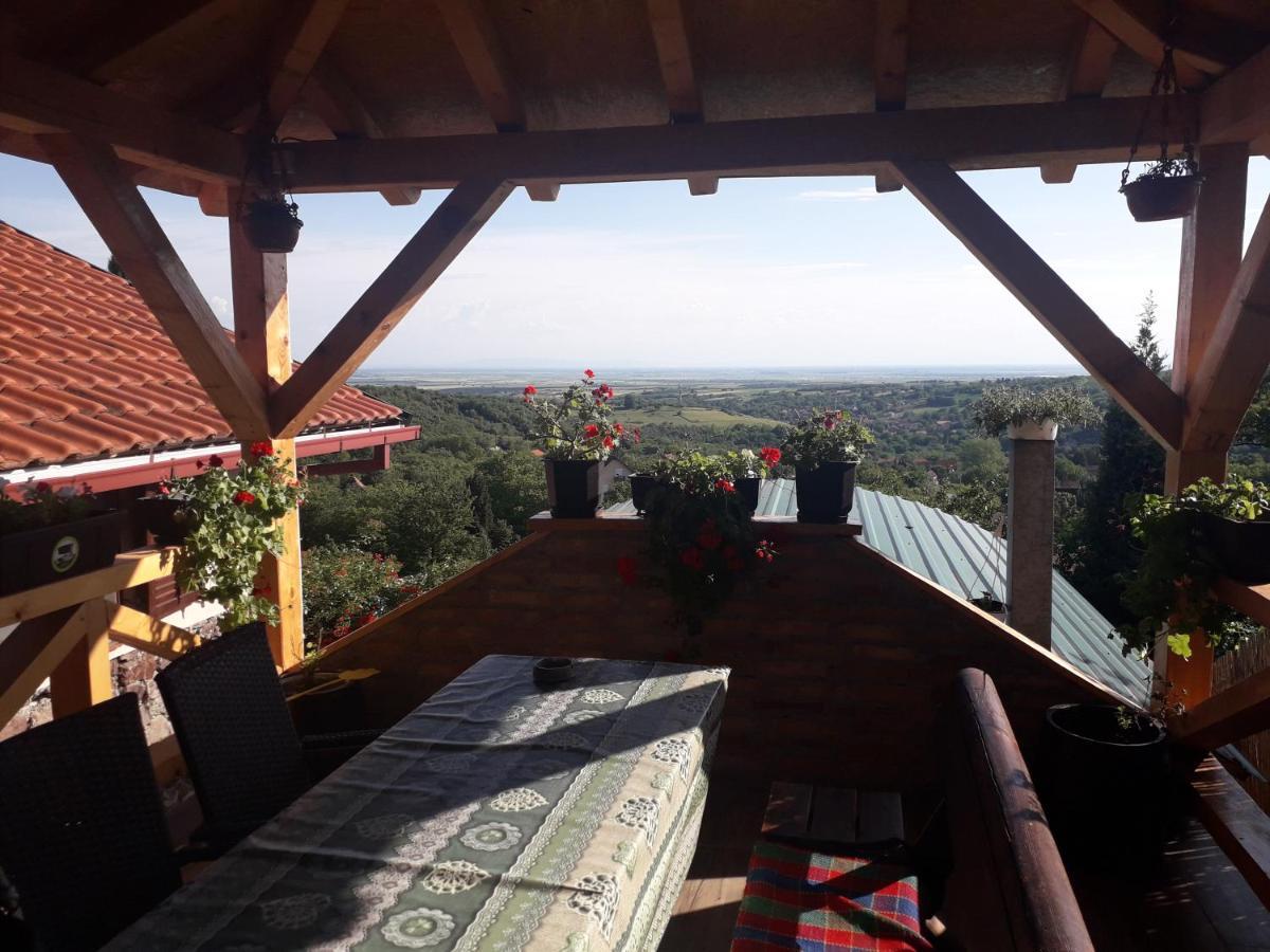 Apartment Noletov Vidikovac Vrdnik Buitenkant foto